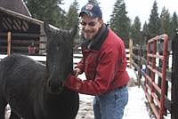 Sanders County Deputy Dave Hedley shows off one of his horses rescued from a cruelty case.