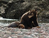 2004 a year of growth, grizzlies and Democrats