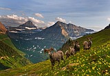 100 days in Glacier.