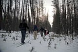 Skiing in Glacier