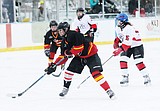 Flathead Flames