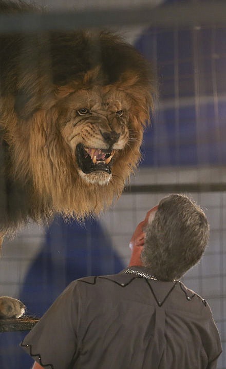 &lt;p&gt;Francis the lion growls at the lion-tamer during their performance in Ronan on Saturday afternoon.&lt;/p&gt;