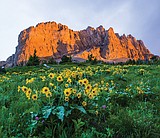 Historic land-use bill is top outdoors story