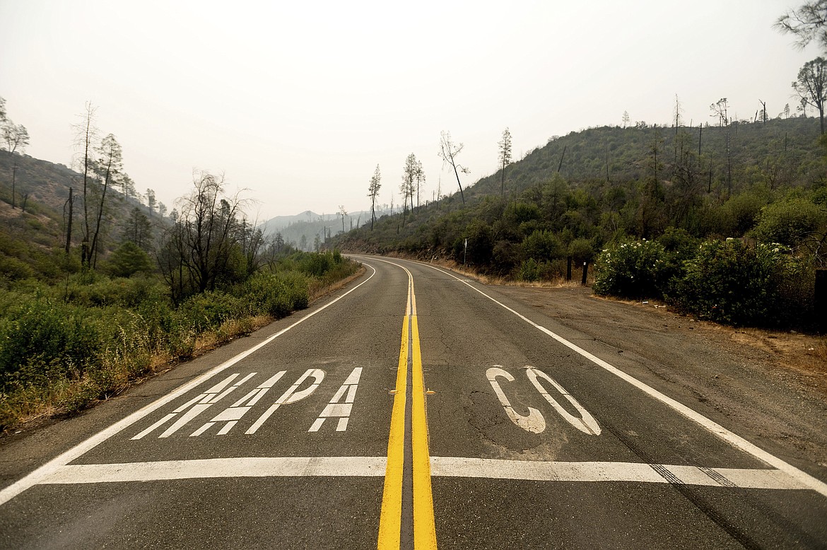 Scorched trees line a hillside at the border of Napa County, Calif., as the LNU Lightning Complex fires burn nearby on Monday, Aug. 24, 2020. (AP Photo/Noah Berger)