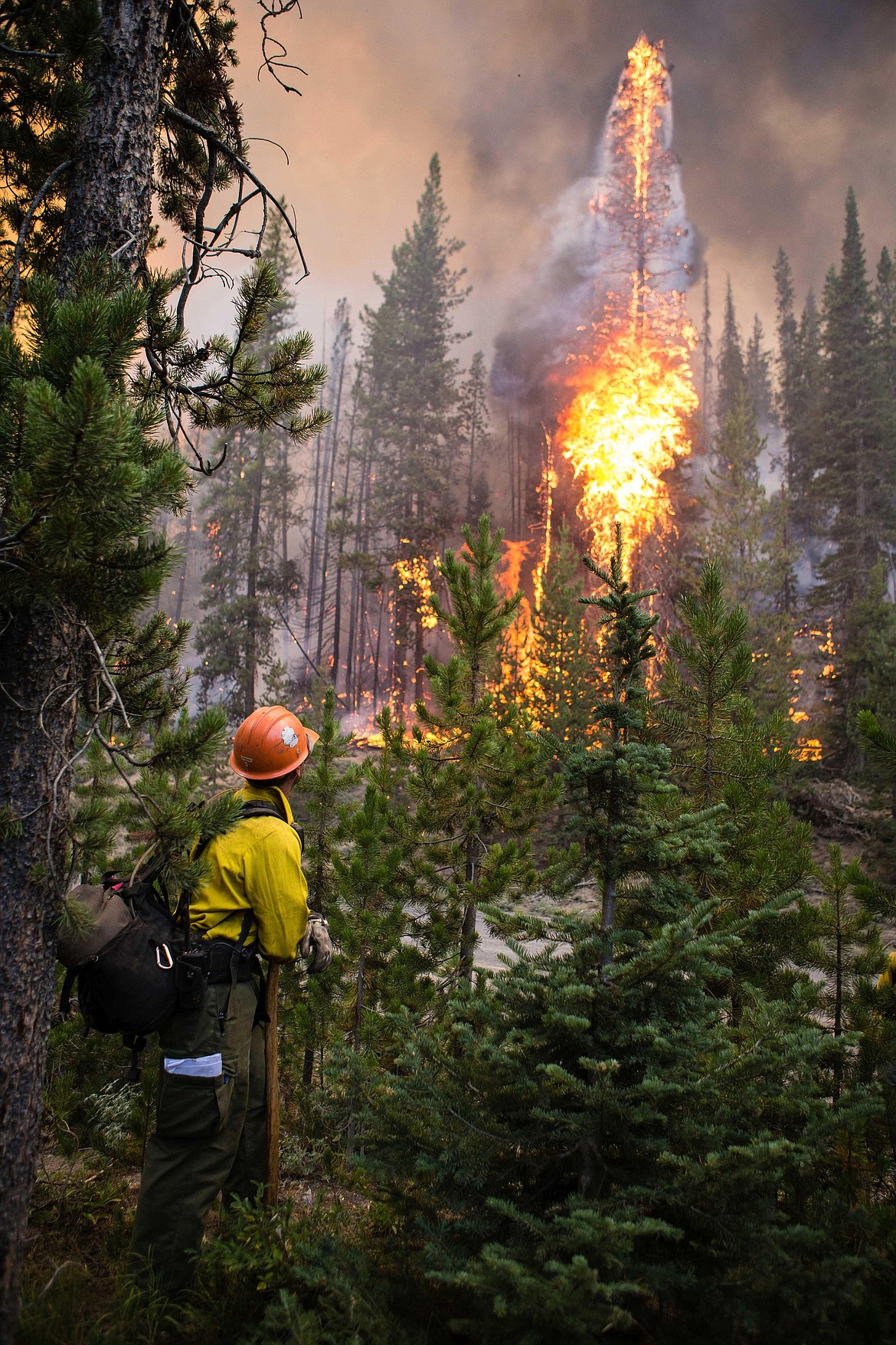 FILE - In this Aug. 7, 2019 file photo released by U.S. Forest Service, a firefighter watches flames from the Nethker Fire engulf trees at Payette National Forest near McCall, Idaho. A giant Idaho forest project favored by some environmental groups but decried by others is on hold again following a federal court ruling. The decision Tuesday, Aug. 11, 2020, halts for the second time a 125-square-mile project on the Payette National Forest that includes commercial timber sales, work to improve fish passage, prescribed burning, the closing of some roads and restoration of Ponderosa pine ecosystems. (U.S. Forest Service via AP, File)