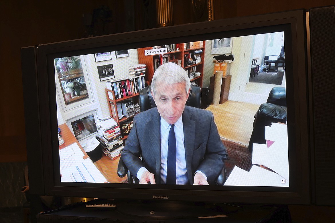 Dr. Anthony Fauci, director of the National Institute of Allergy and Infectious Diseases speaks remotely during a virtual Senate Committee for Health, Education, Labor, and Pensions hearing, Tuesday, May 12, 2020 on Capitol Hill in Washington.  (Win McNamee/Pool via AP)