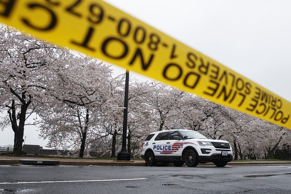 A Washington D.C. Metropolitan Police vehicle is parked on the other side of a tape police line along the Tidal Basin as cherry blossoms cover the trees, in Washington, Monday, March 23, 2020. As Washington, D.C. continues to work to mitigate the spread of the coronavirus (COVID-19), Mayor Muriel Bowser extended road closures and other measures to restrict access to the Tidal Basin, a main tourist attraction. (AP Photo/Carolyn Kaster)