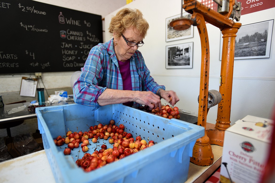 Marilyn Bowman sorts cherries at her family’s roadside stand. (Jeremy Weber photos/Daily Inter Lake)