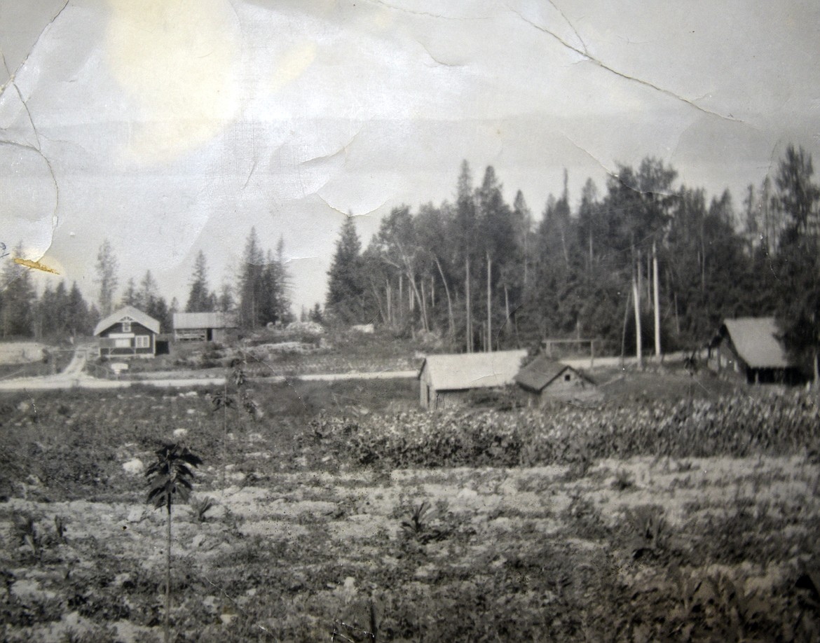 A photo of the early days of Bowman Orchards. (photo provided)