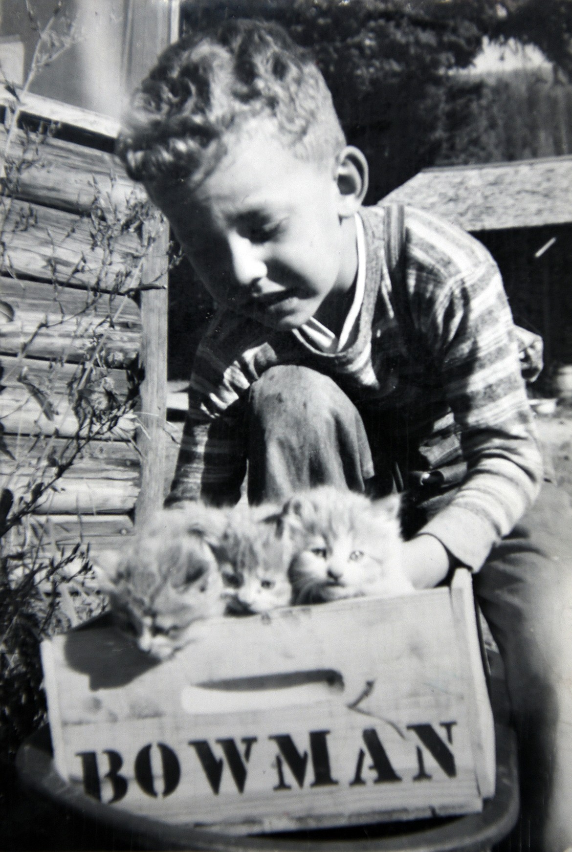 A young Jerry Bowman carries a litter of kittens around the orchard in one of the family’s cherry crates. (photo provided)