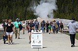 Yellowstone Park entrances in Montana opened to visitors