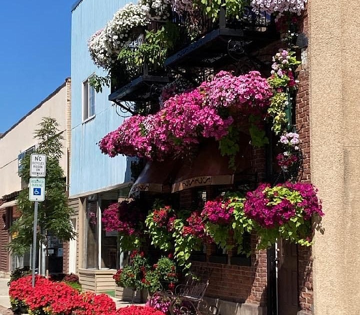 Flower Power Shoshone NewsPress