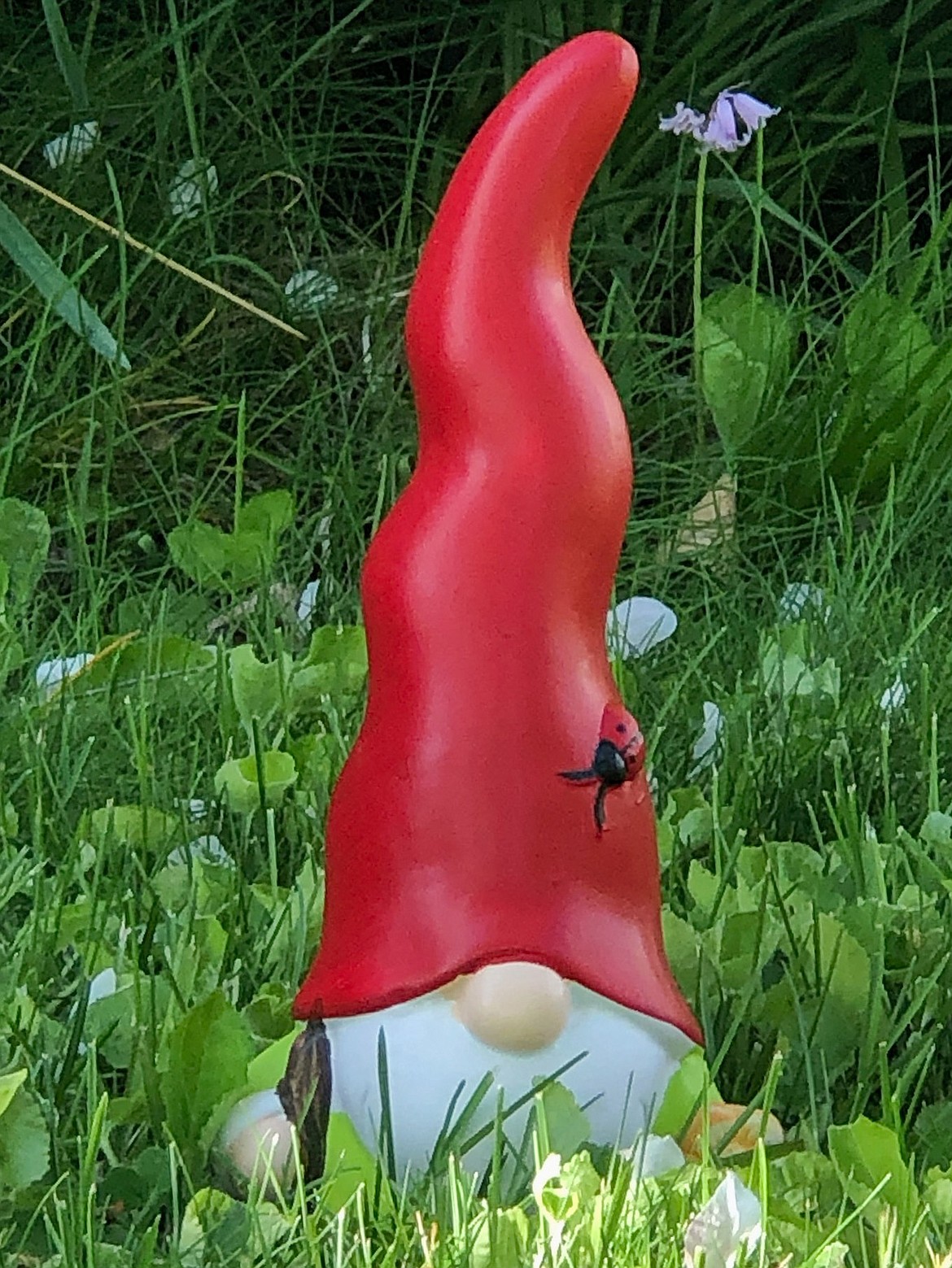 The Moses Lake Parks and Recreation Department is inviting residents on a scavenger hunt this week to find this gnome at one of the parks in town.