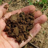 Regenerative agriculture: Differing opinions