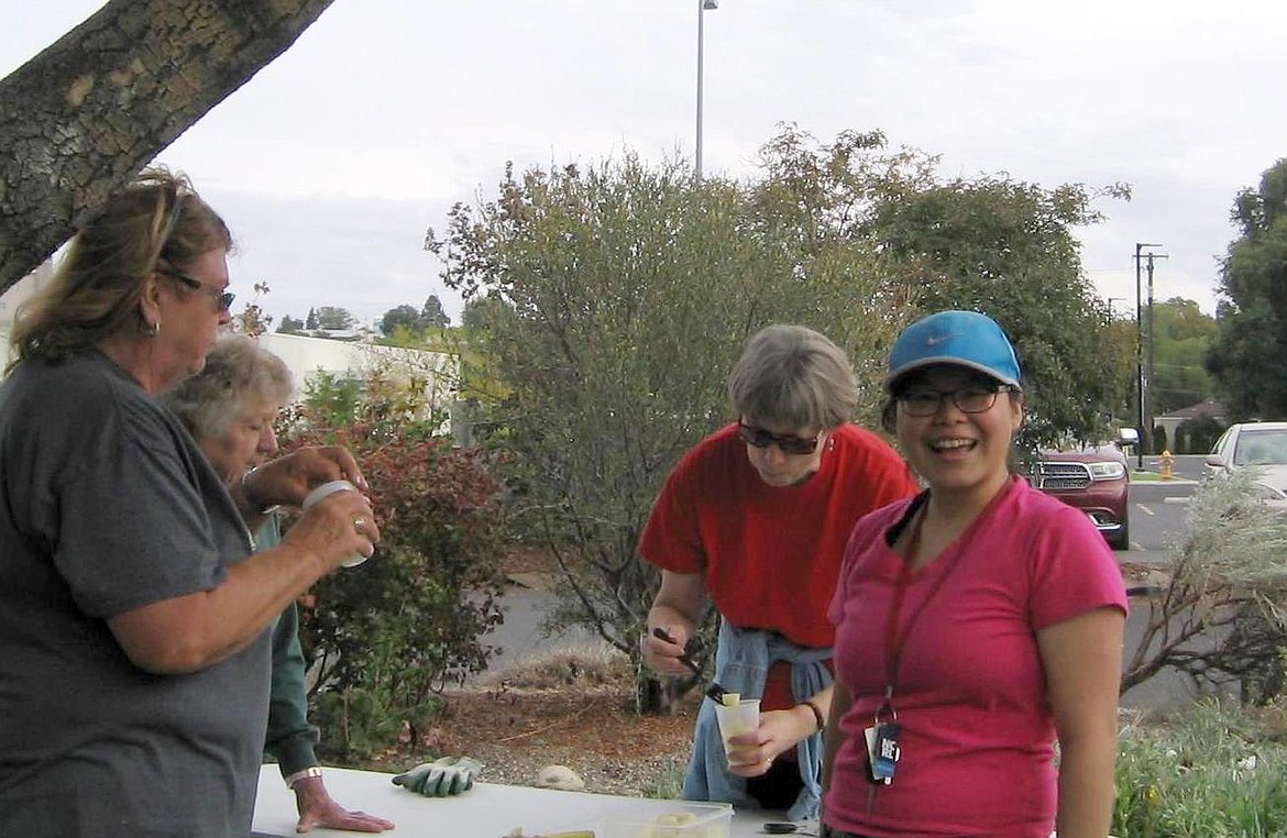 WSU Grant-Adams Master Gardeners are a diverse group of individuals who can answer questions and can conduct educational outreach on a wide range of gardening topics. From left: Marylou Krautscheid, Marta Tredway, Tina Bradley and Iris Fung.