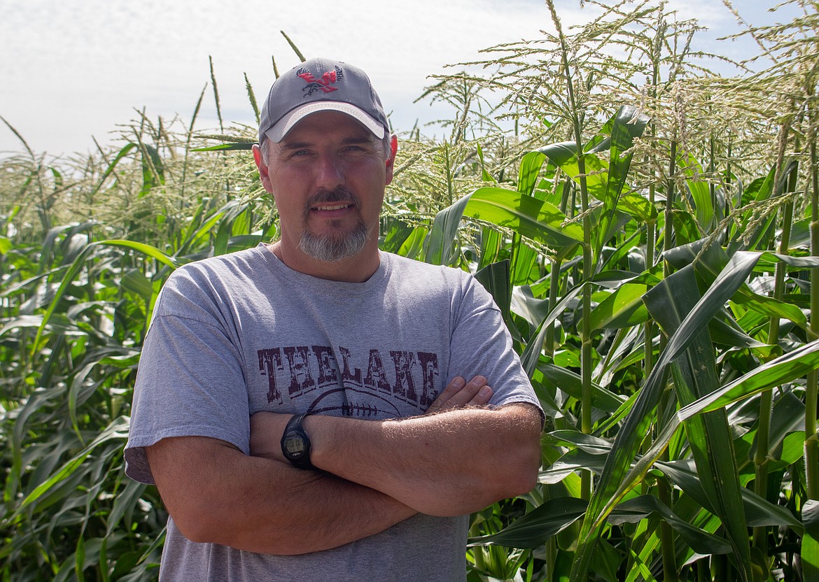 Casey McCarthy/Columbia Basin Herald
Moses Lake FFA adviser Tony Kern hopes to have students back, even in a limited fashion, to help with ongoing projects the club has taken on, including the sweet corn planted behind him at Moses Lake High School.