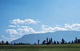 Golf: Brothwell takes 10th at Invite