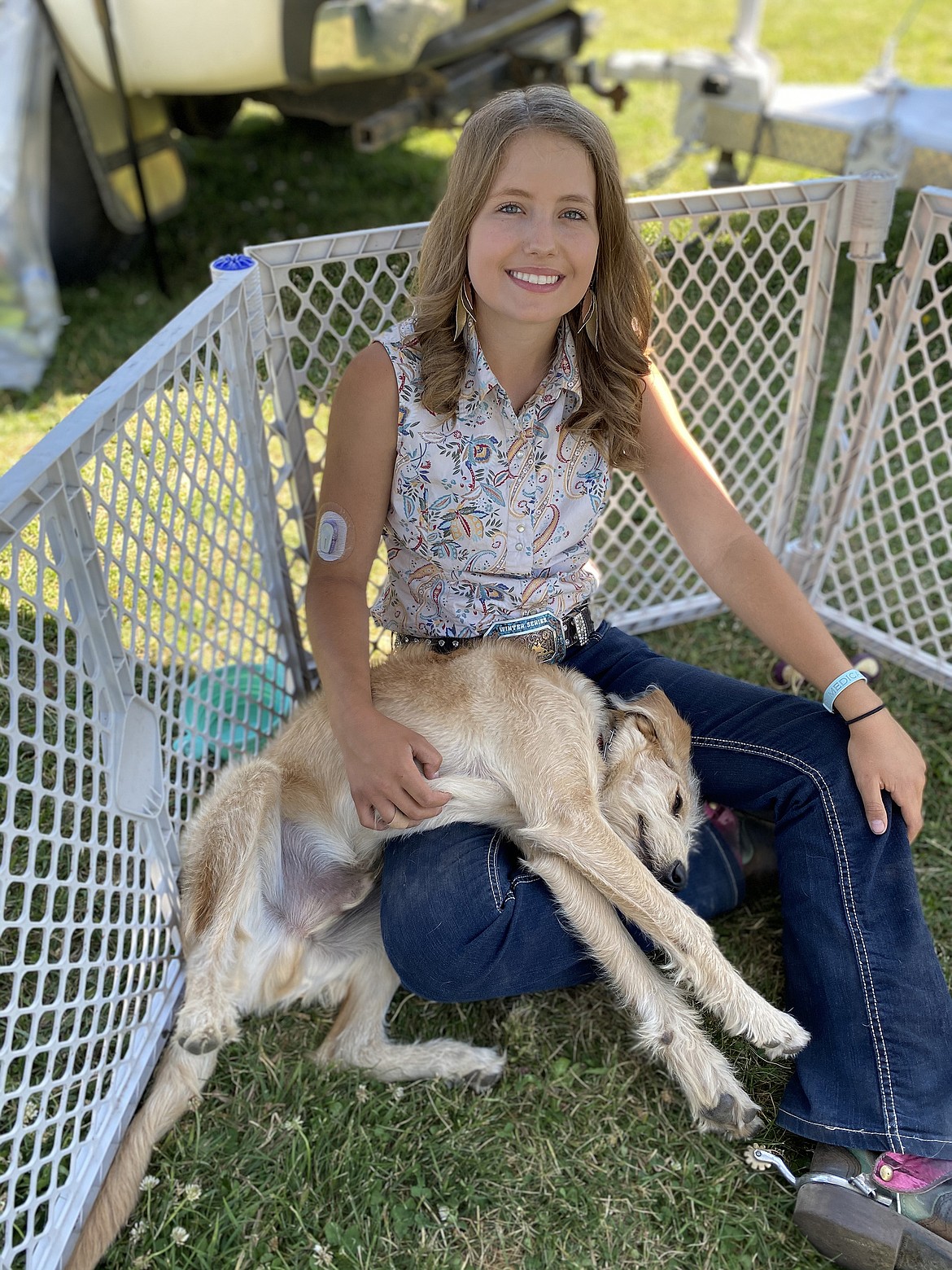 A tuckered Scentinel finds a comfortable spot to sleep on the lap of his owner, Hayven Chase. Chase, who was named the Bonner County Rodeo queen in March, is training the goldendoodle/labrador mix to detect changes to her blood sugar.