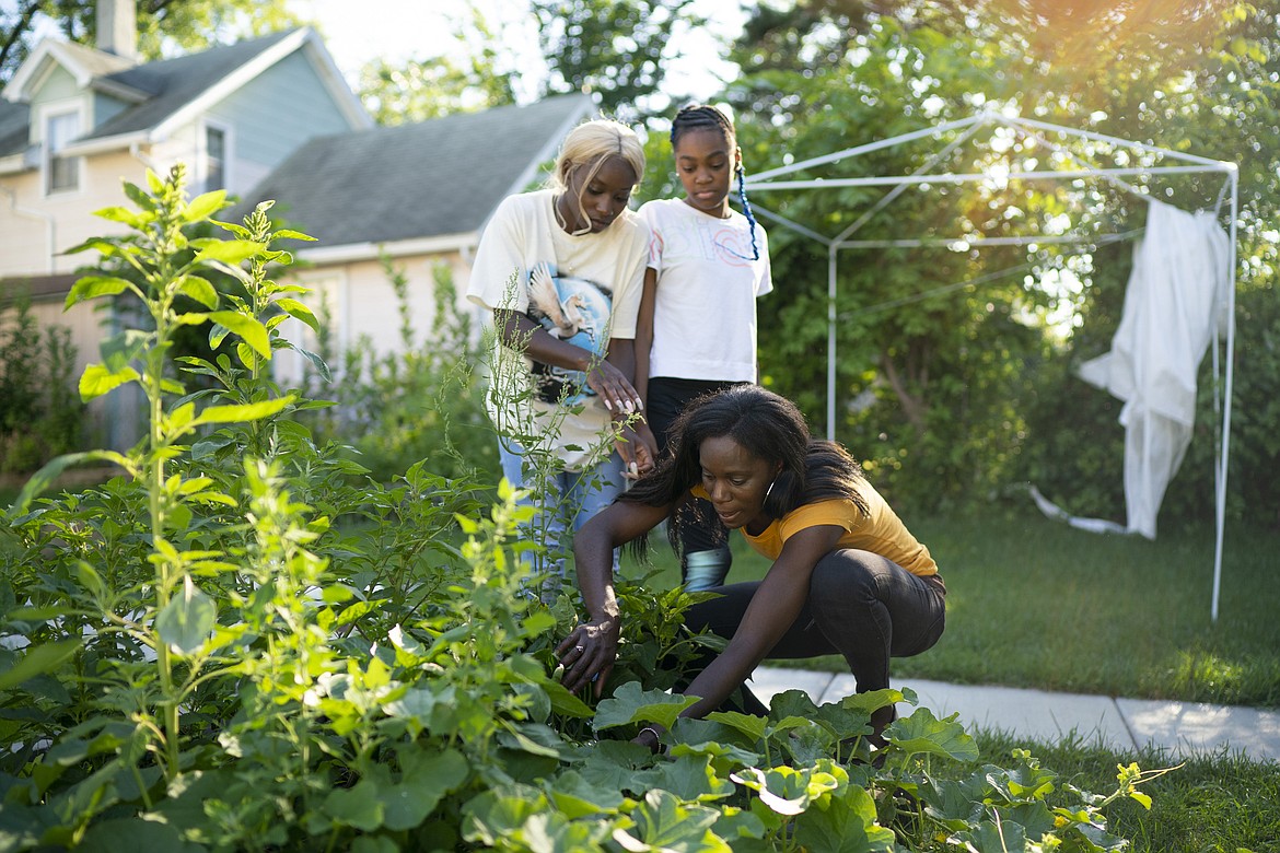 LeAndra Estis checks on the growth progress of vegetables in her backyard garden in St. Paul. Her daughters Quaia, left, and Lonna help in the garden and post their successes on social media.