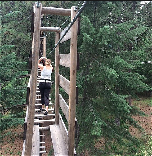 A guest at Tree to Tree walks on a ladder on one of the aerial courses.