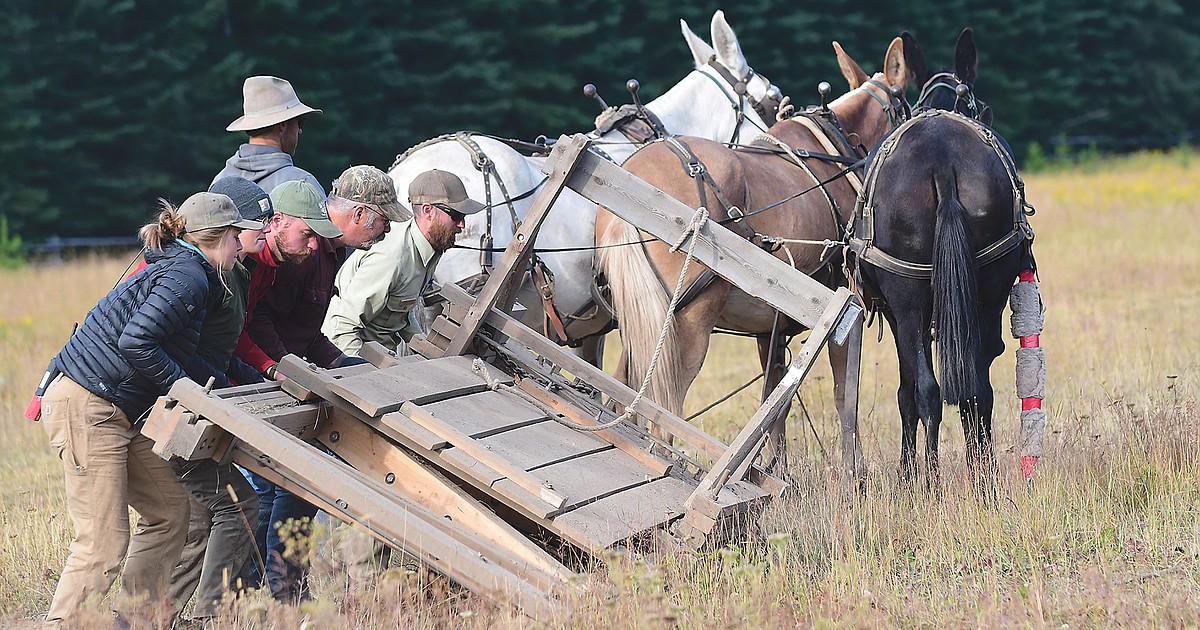 Schafer wilderness airstrip, rehabbed Hungry Horse News
