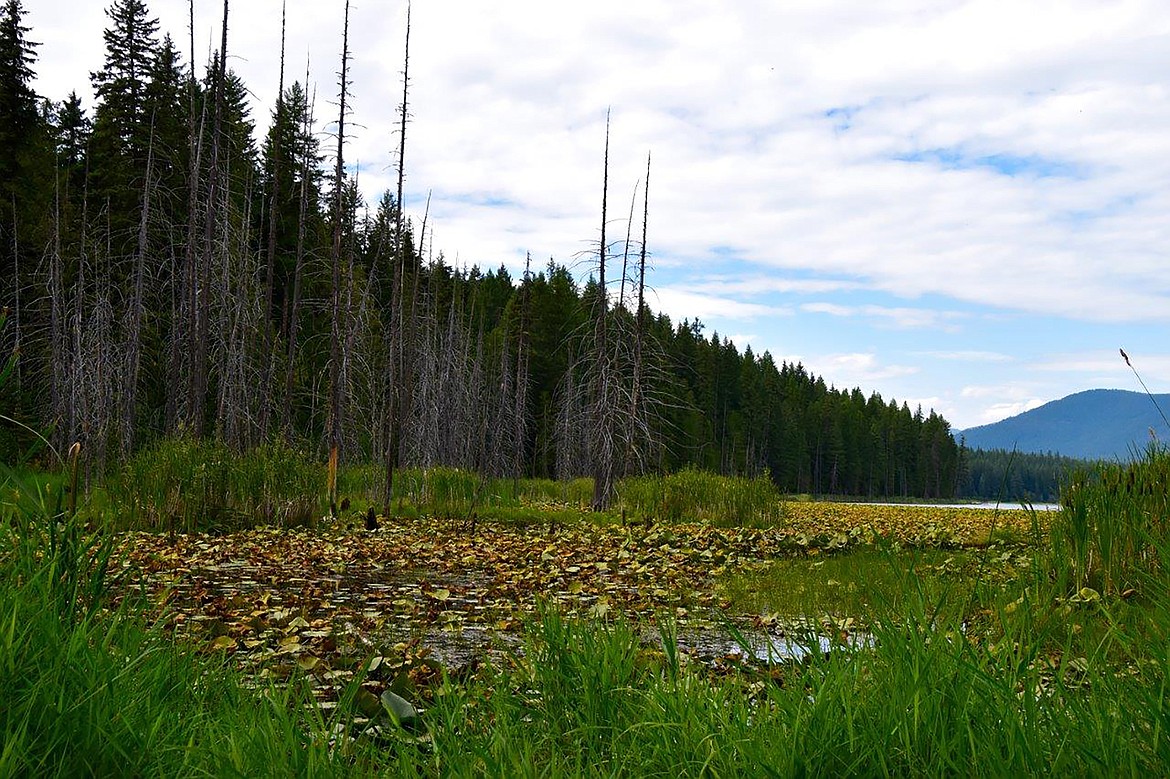 Robert Kalberg captured this photo of Dawson Lake during a recent afternoon drive in the area.