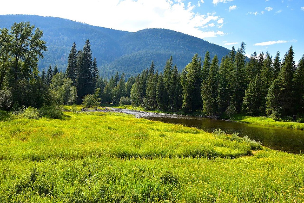 Robert Kalberg captured this photo of the Moyie River during a recent afternoon drive.