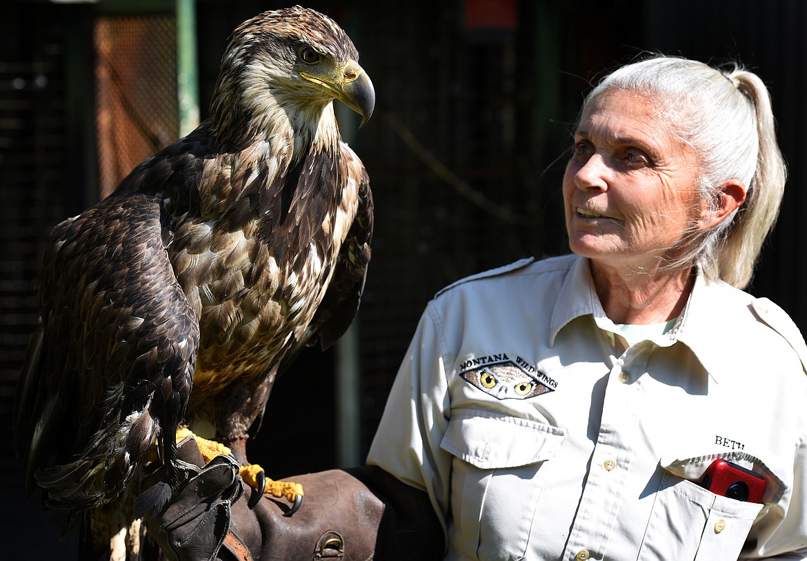 Montana Wild Wings Recovery Center Founder and Executive Director Beth Watne handles Victory, a sub-adult bald eagle who came to the center in 2017.