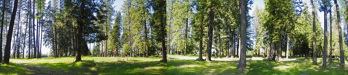 A panoramic view of the former Aryan Nations compound after it was cleared, and the land was used as a peace park. Photo by Diana Gissel.