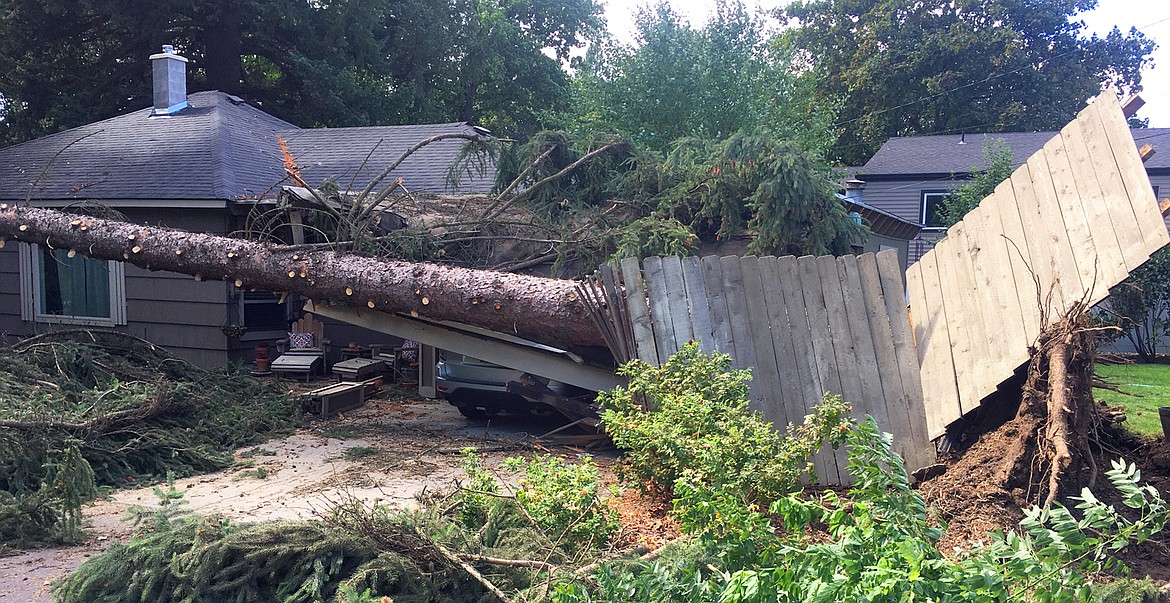 A tree felled by winds narrowly missed a Coeur d'Alene home on Monday.