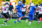 Cats blank Chiefs