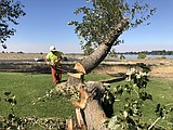 City workers clean up after wind storm