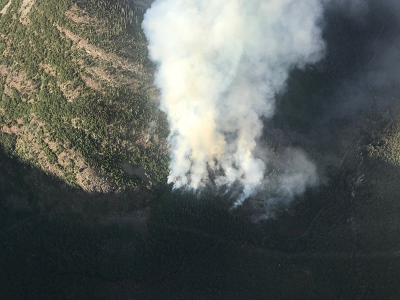 U.S. Forest Service firefighters are battling a human-started 150 acre wildfire in the South Callahan Drainage near Troy.