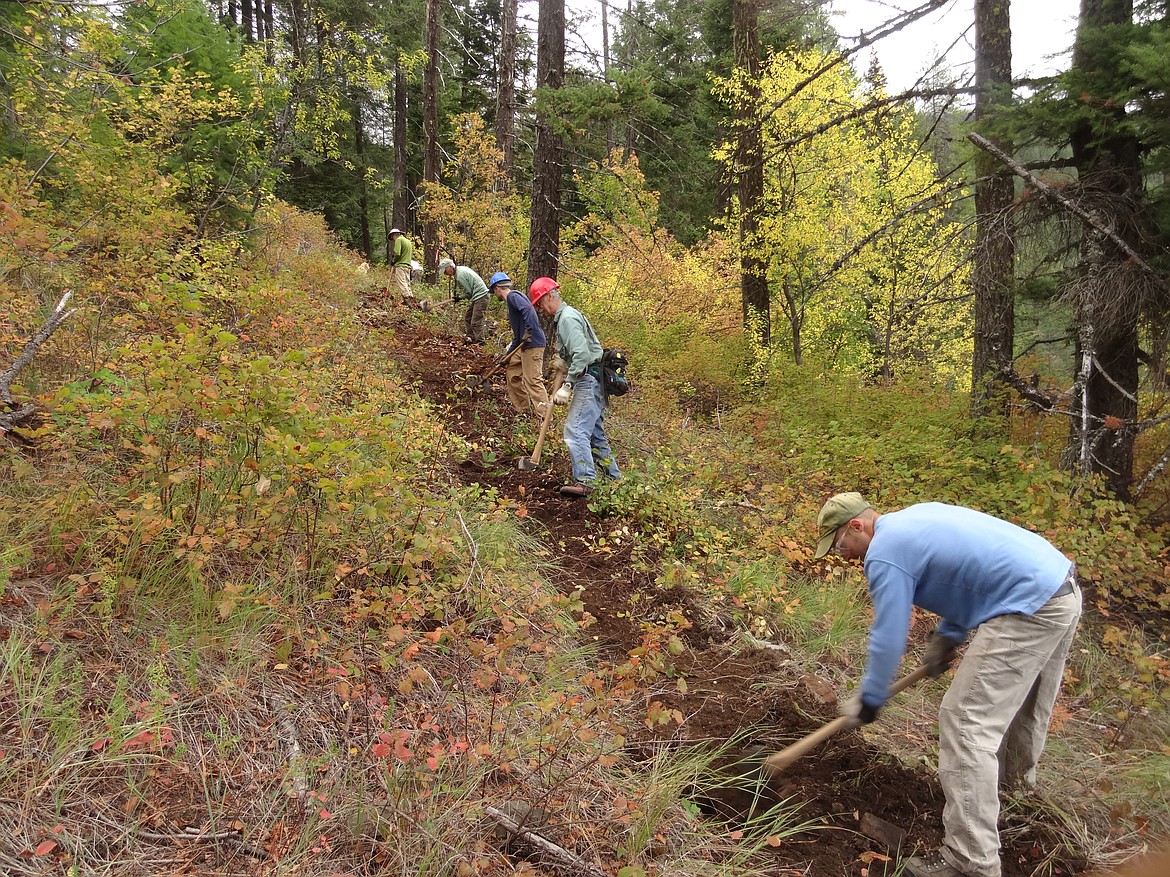 Friends of Scotchman Peaks Wilderness trail volunteers work on a trail. The group has a few dates left in September. (FSPW photo)