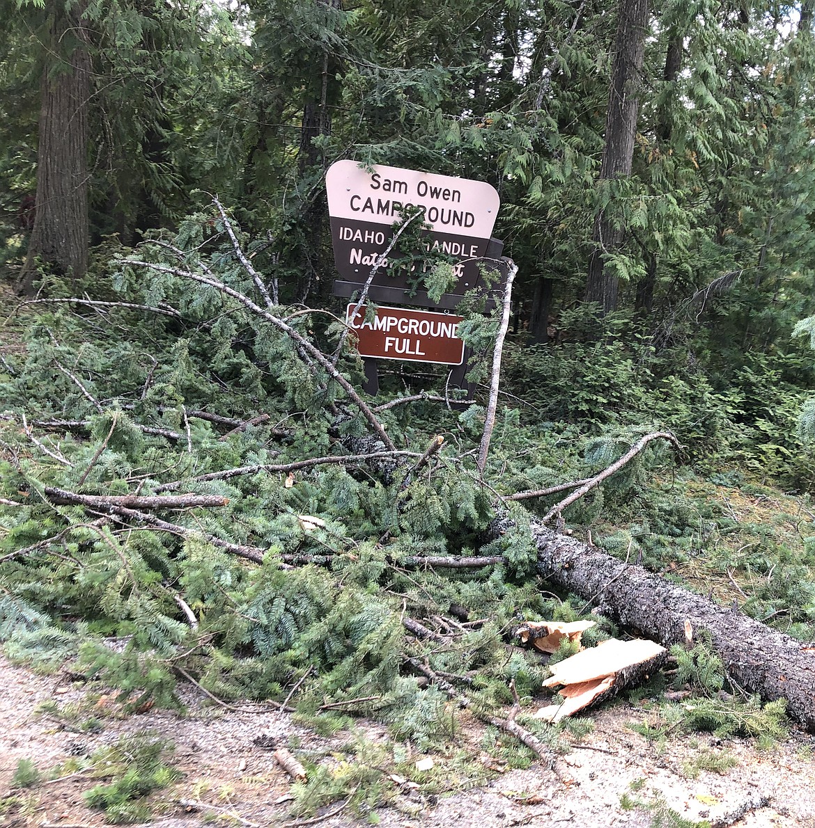 The entrance to Sam Owen Campground after the windstorm.