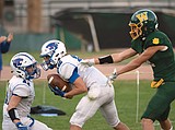 Turnovers hurt Cats against Dogs