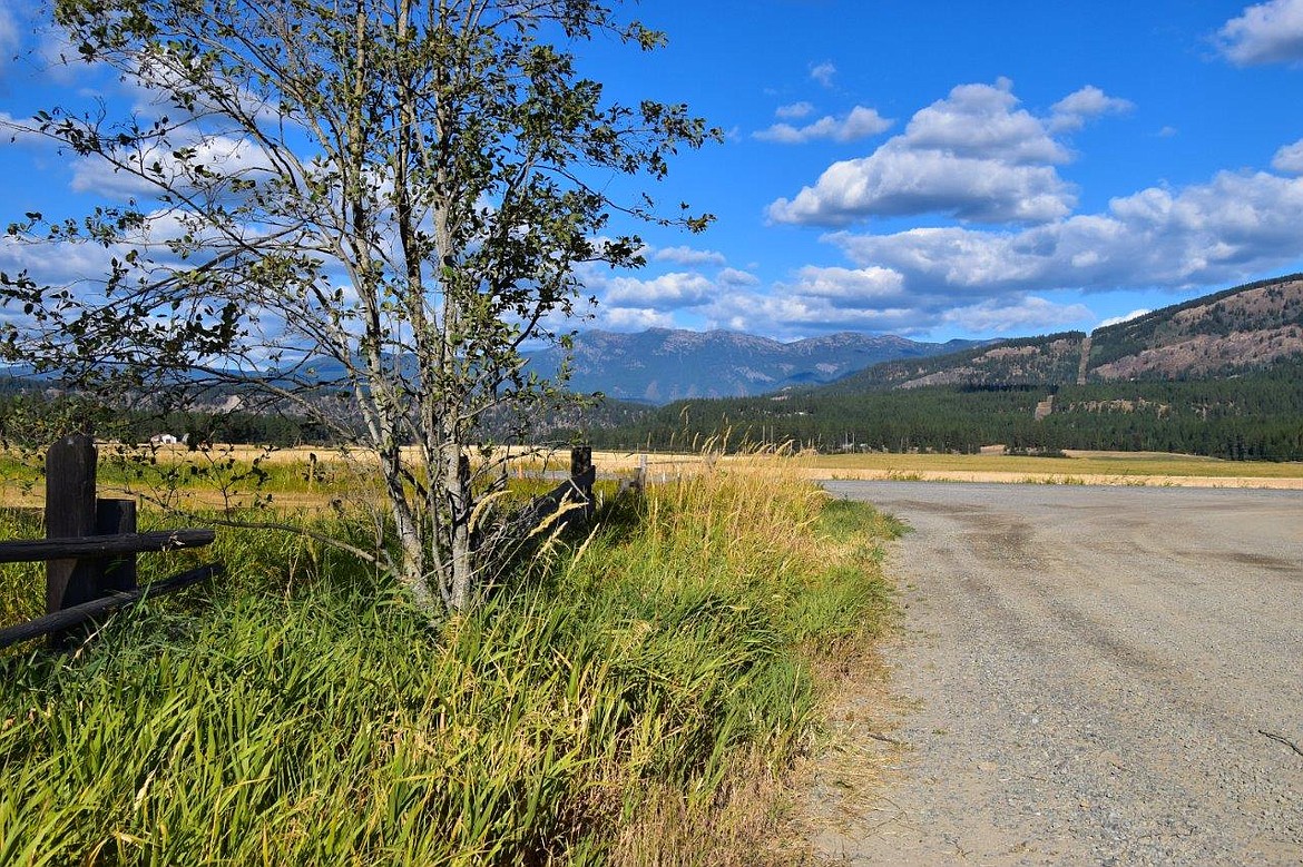 Photo by Robert Kalberg
A photo of Turkey Hollow Road taken earlier this summer shows the stark difference before the wildfire smoke arrived in Boundary County.