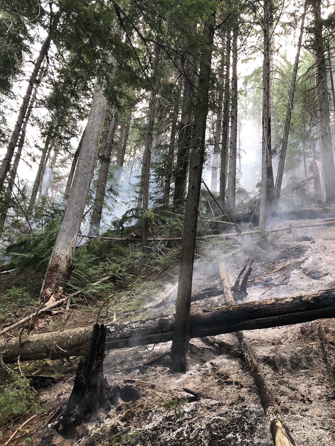 The West Branch Fire, located about 9 miles due west of Coolin and about a half-mile west of the Idaho-Washington state line, has grown to about 60 acres.
