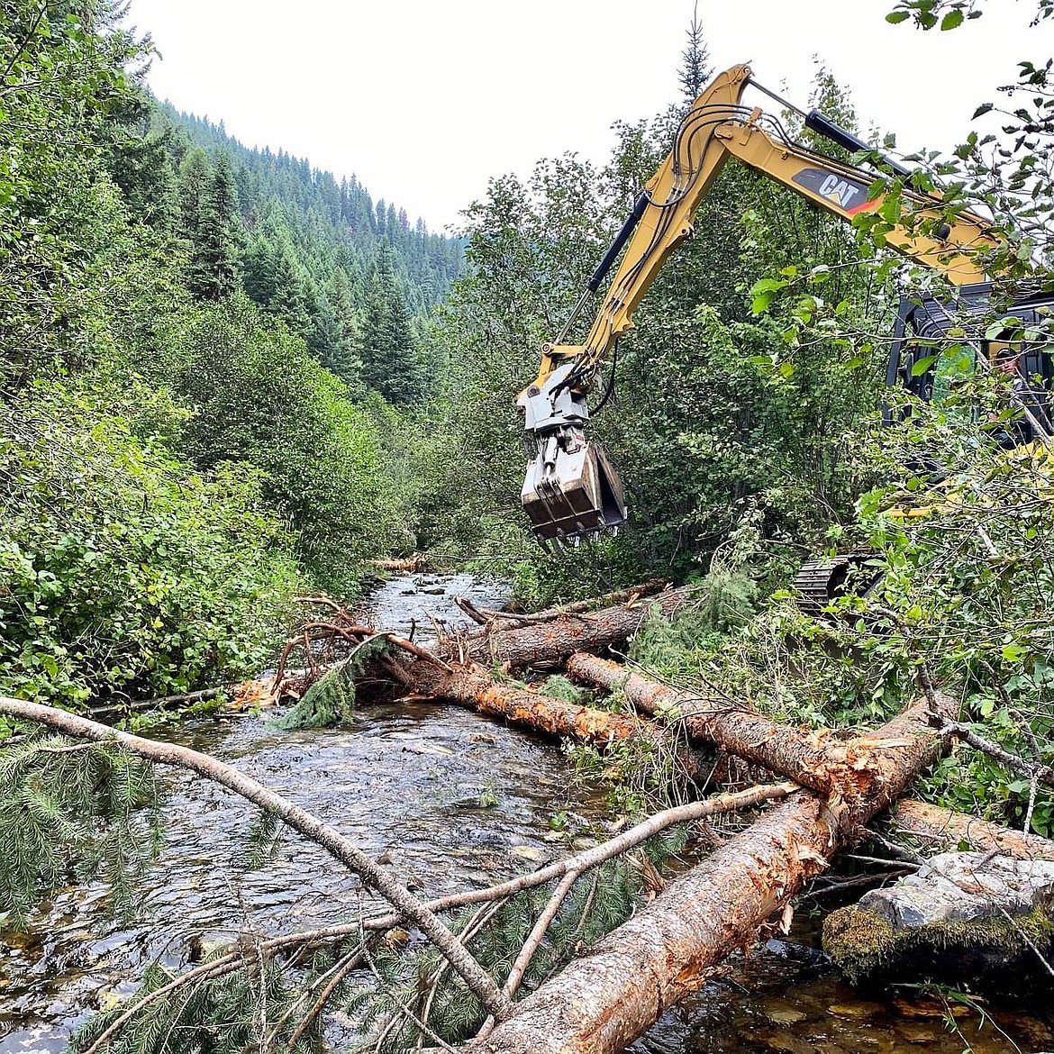 It may look messy and counterintuitive, but this log jam being created by Darin Haskins of Haskins Excavating is a crucial element of restoring stream health for trout in the tributaries of the Clark Fork River. In early August work was done along 12-Mile Creek near St. Regis by Trout Unlimited, the construction of these large wooden structures generates pooling for spawning, rearing, and over wintering. (Photo courtesy Paul Parson)