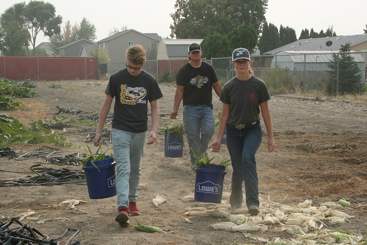Moses Lake High School FFA members Zachary Haws, Lucas Christie and Kalyn Clark and their fellow club members are selling fresh-picked corn through the end of September.