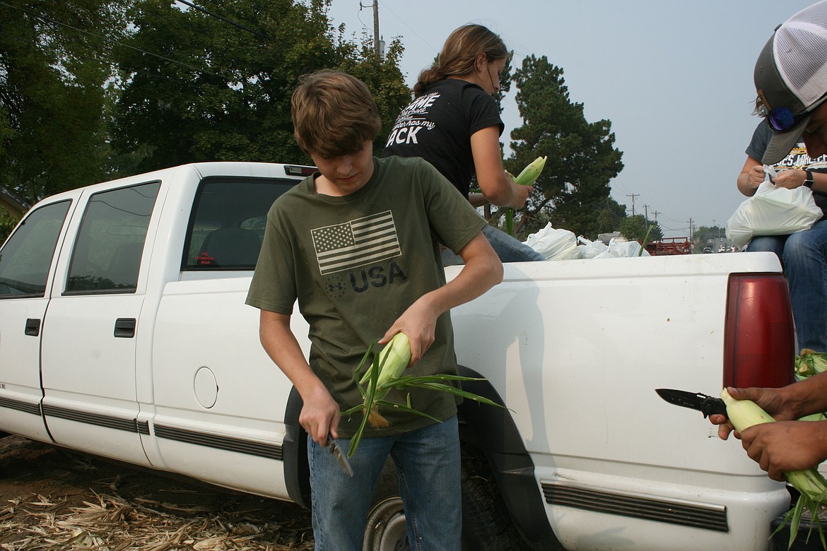 Jacob Knight trims the ends of an ear of freshly picked corn. The corn is picked, packed and sold as a fundraiser for the Moses Lake High School FFA club.