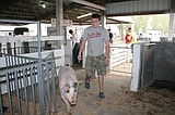 Othello livestock sale goes on in 'weird' year