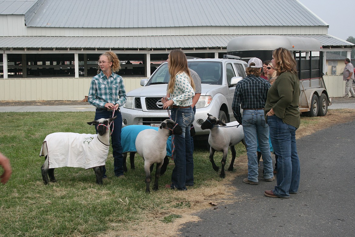 Exhibitors wait for their animals to be examined at the Othello Fairgrounds Friday. The Othello Fair livestock committee sponsored a sale for exhibitors after the fair was canceled.