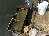 Moyie Springs finds no negative impact to wastewater improvements
