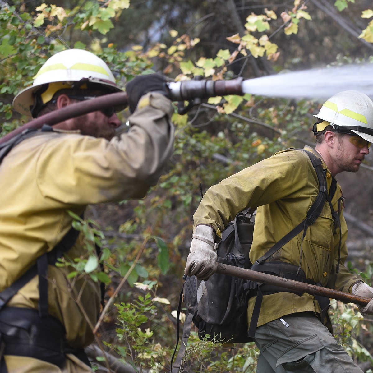 Callahan Fire 72 percent contained | Western News
