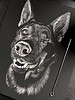 Line by line, scratchboard artist works to capture Moses Lake's K-9 Chief