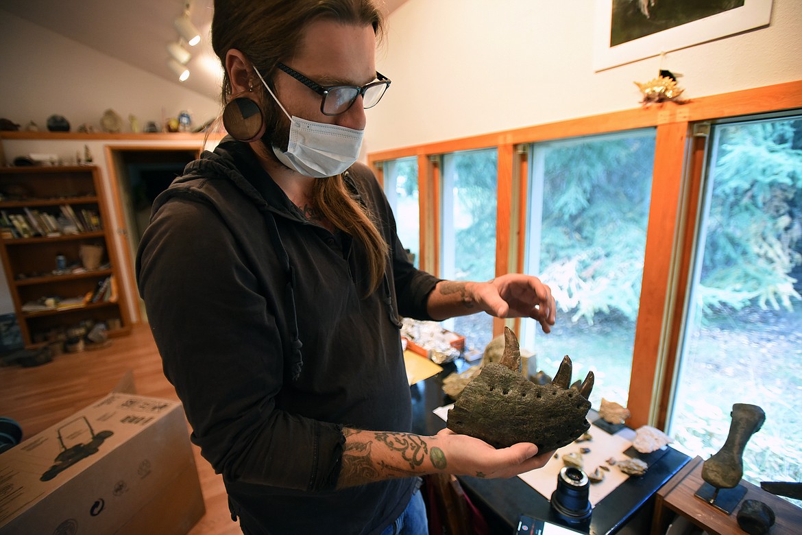 Aamon Jaeger of Northwest Montana Fossils holds a recent find, the partial lower jaw of a Daspletosaurus found in north central Montana. (Jeremy Weber/Daily Inter Lake)