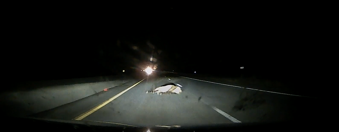 A still view from the second vehicle's dash camera right before impact with the deceased elk. The headlights in the eastbound lane (left side) are those of the SCFD No. 1 ambulance responding to a call in Mullan.