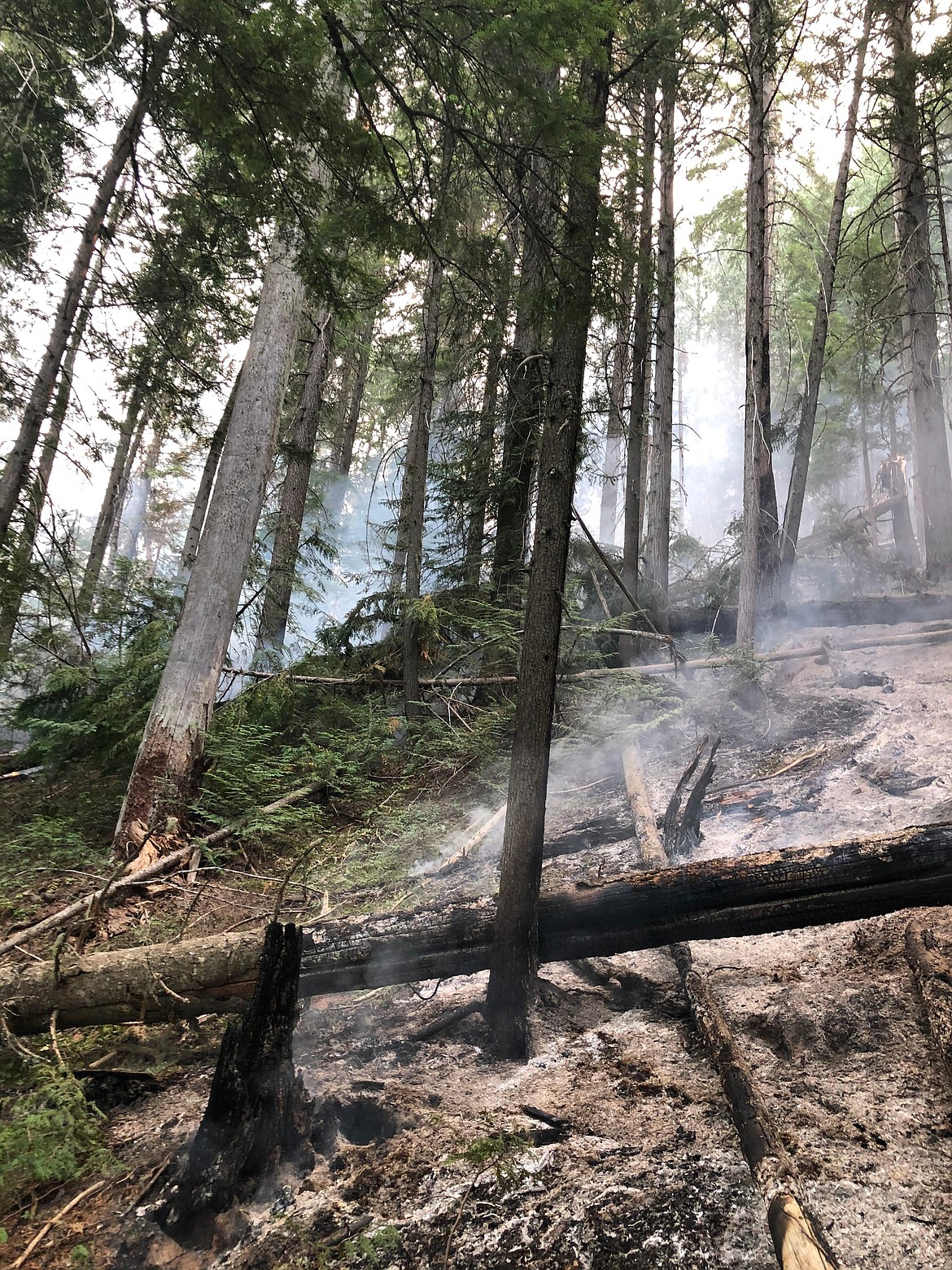 The West Branch Fire, located about 9 miles due west of Coolin about a half-mile west of the Idaho/Washington border, has burned about 113 acres