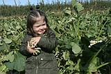 Signs of fall: Mickle Farms pumpkin patch is growing